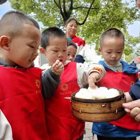 行走的课堂 成长的力量——紫金幼儿园