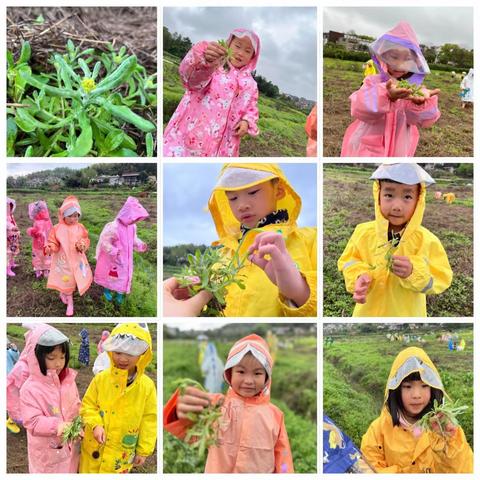 青龙湾伟才生态幼儿园KA3班四月总结