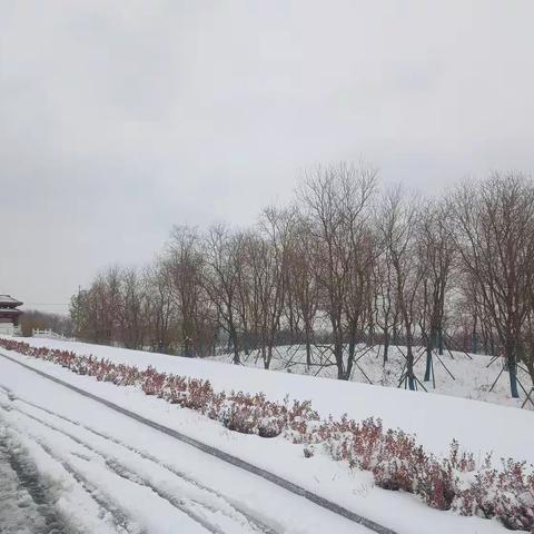 雪的故事——大傅寨小学雪后的校园