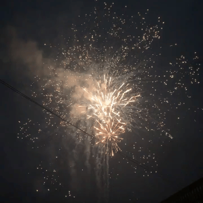 【定襄二中学子这样过寒假】春节印象277班智靖博