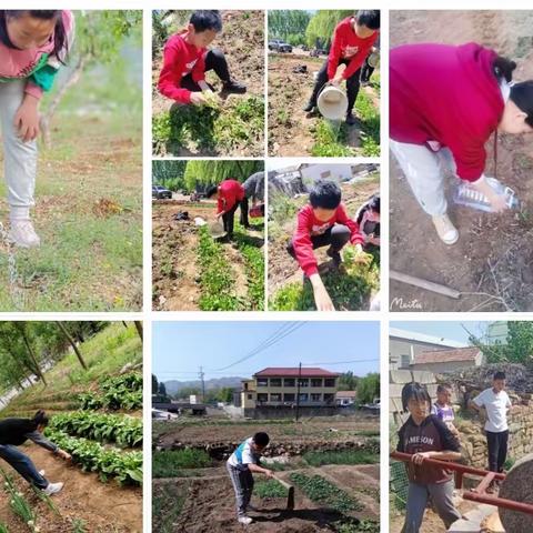 致敬耕耘，不负收获——沂河源学校六年级五一劳动节特色活动