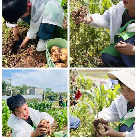 以奋斗起航，以劳动圆梦