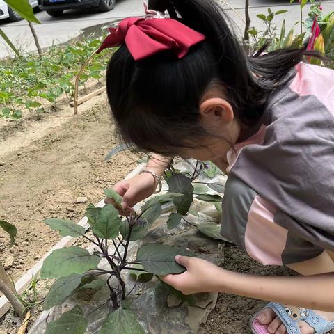 冯悦的五一假期
