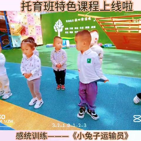 北京齐家6+1海纳博雅幼儿园托育班“校园活动”精彩回顾