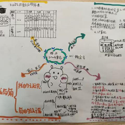 401  期中复习思维导图