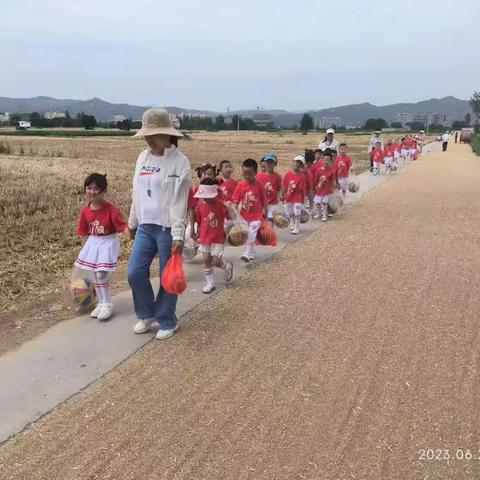 走进小学  赴一场成长之约——东南镇中心幼儿园幼小衔接系列活动之参观小学篇