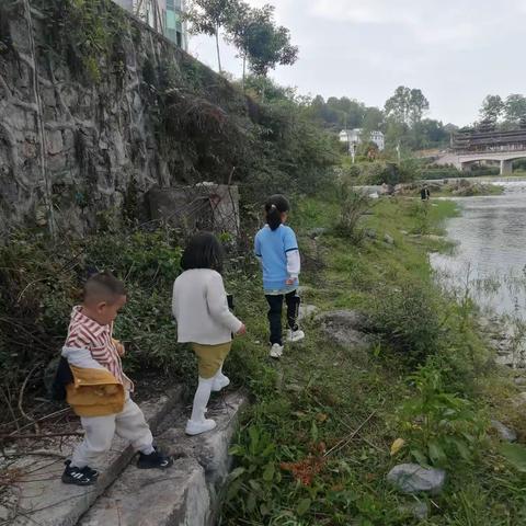 五一假期走进自然（实验小学一五班高文卿）