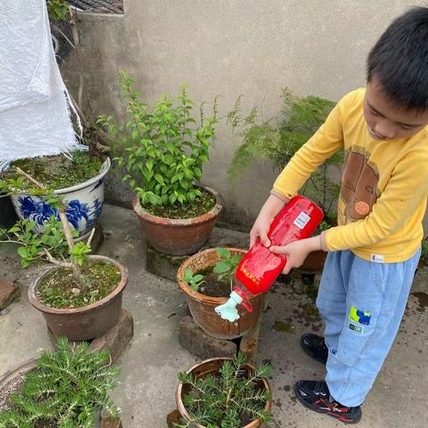 像雾像雨又像风的美篇