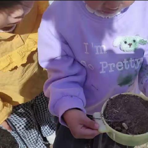 课程故事《昆虫旅馆》