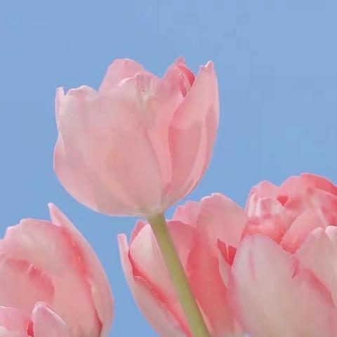 包头恒大天玺物业服务中心4月工作简报