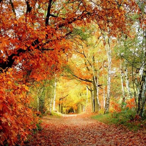 包头恒大天玺物业服务中心9月工作简报