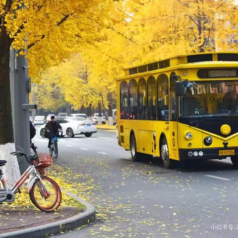 文明乘车，从我做起🚃