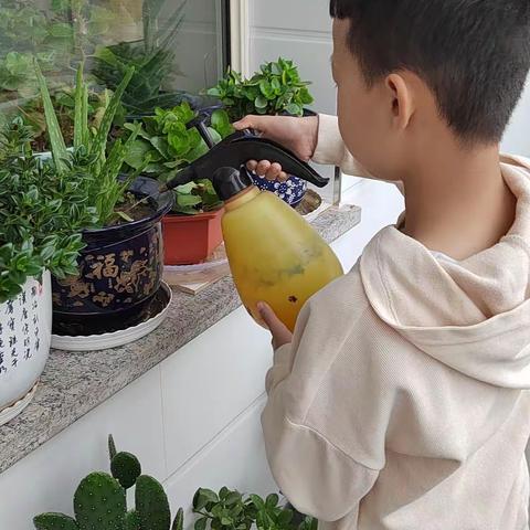 实验小学四年级一班虎靖