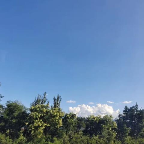 宁武县实验小学三年级10班孙嘉琪的2023快乐暑假