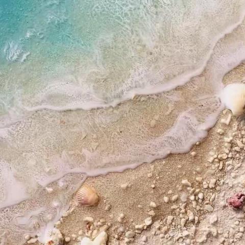 星宝幼儿园“海平面的我们”亲子户外活动