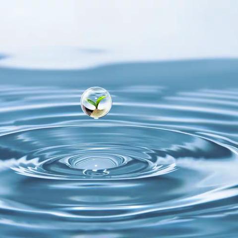 西街村开展“文明树新风，节水我先行”主题活动