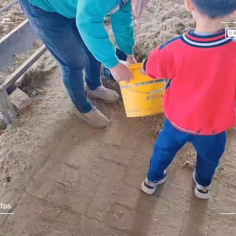 生活即教育，劳动最光荣——一年四班劳动节实践活动