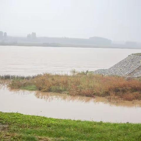 游黄河