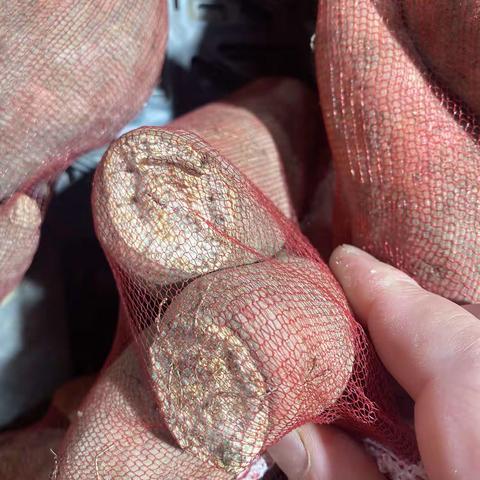 6月24号下午巡店