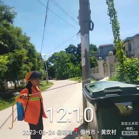 那大镇番真村委会开展“清洁家园 防蚊灭蚊”夏秋季爱国卫生百日专项行动