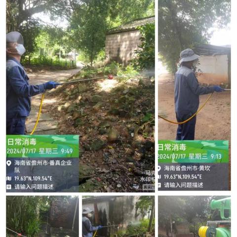 那大镇番真村委会开展预防登革热专项活动