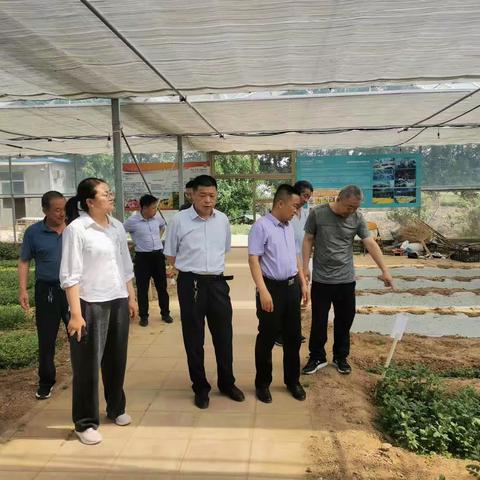 西城办事处，范庄村一周总结，村两委班为提升本村经济到锦水街道道上盆王村菊花种植基地学习种植技术，合