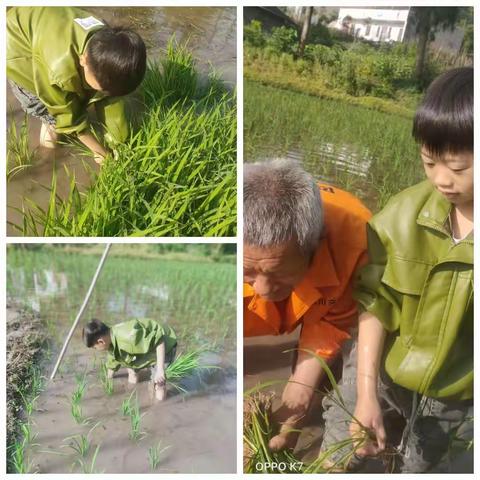 “我们是小小劳动者”五月是漫天繁花的季节，五月也是劳动者的节日