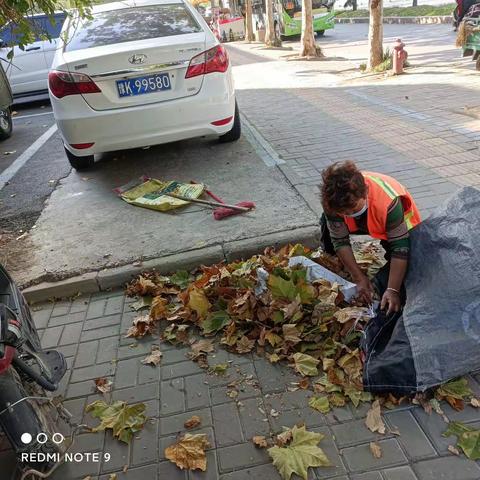 秋风落叶满地黄 环卫工人清扫忙