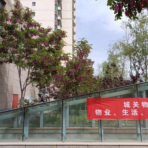 阳光雅筑4月月报