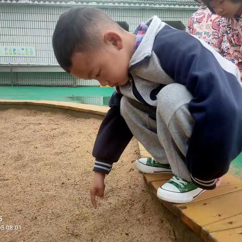 坎北街道中心幼儿园中二班