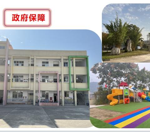 龙树小学附属幼儿园招生啦！