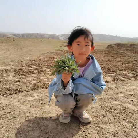 ❤南园街学校二年级一班 刘悦洋 五一假期实践作业❤