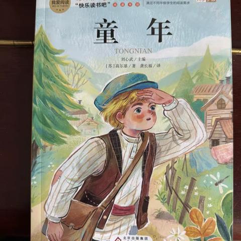 朝阳实验小学六年九班高子一《童年》读后感