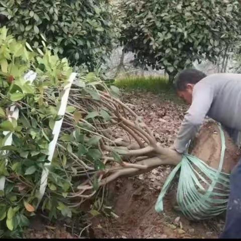 八中太空种子种植实践活动