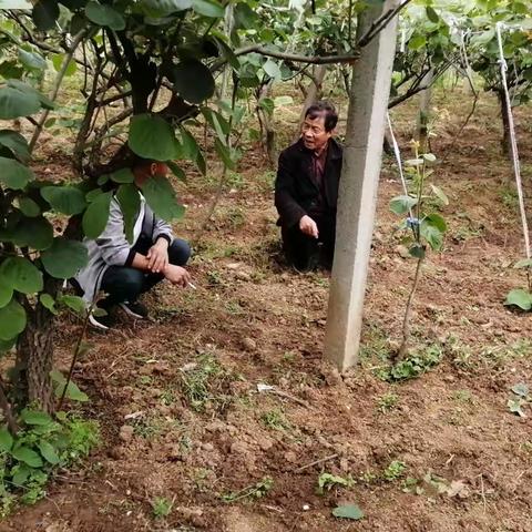 全面推进中国式现代化周至实践--人大代表在行动乡规民约润育文明乡风