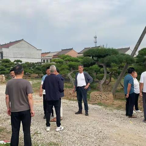 “明确责任分工，抓紧任务落实”——杨哑路改扩建工程青化段征地测量工作
