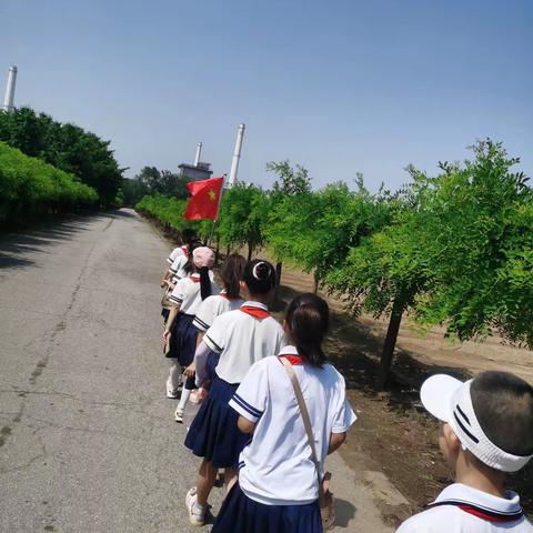 [中国式现代化建设河北篇章红领巾研学实践活动]种植科技，育苗新方法