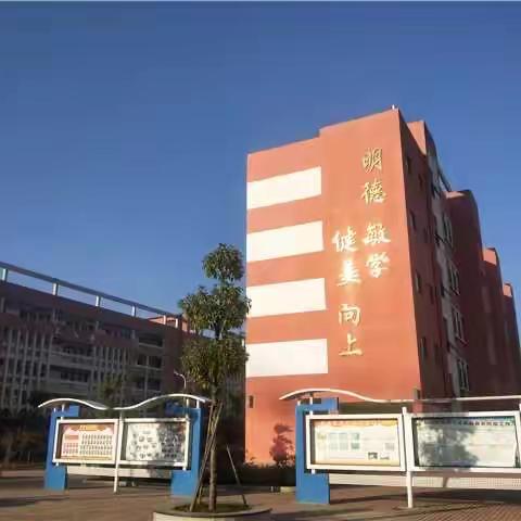 资兴市罗围小学“德智双修 身心两健”领航教育新发展