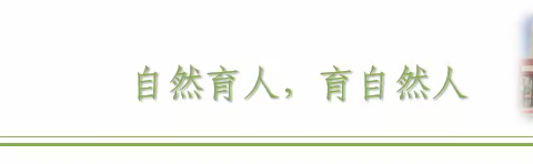 展故事风采、助专业成长——中宁县大战场镇马莲梁幼儿园“教师讲故事”比赛