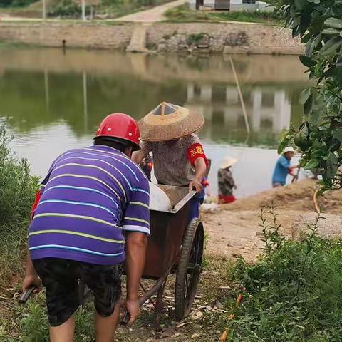 骄阳似火显担当！泽溪村党群志愿者积极投身排水工作