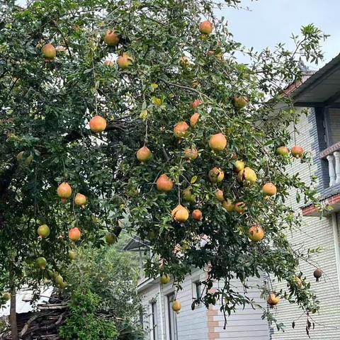 罗剑冉假期美篇