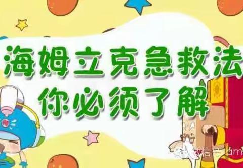 【掌握急救知识 呵护幼儿成 长】许家湖镇第二中心春水幼儿园“海姆立克急救法”培训活动