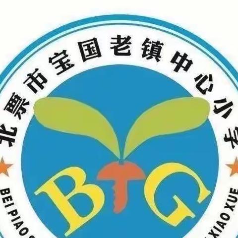 共赏数学之美，共探数学之妙—宝国老镇中心小学数学学科交流活动