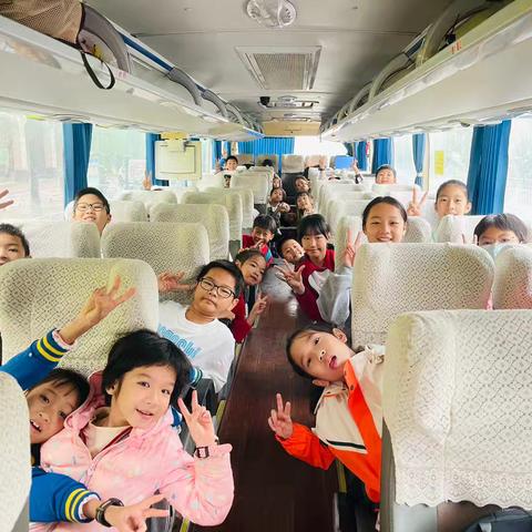 【丛林探险记】1114第2️⃣组精彩回忆录