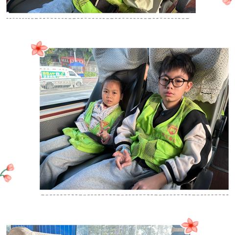 11.15森林🌳奇遇记 第4️⃣组小分队