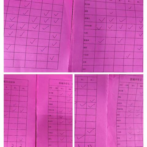 新泰市放城镇初级中学德育实践作业展示之家务劳动篇