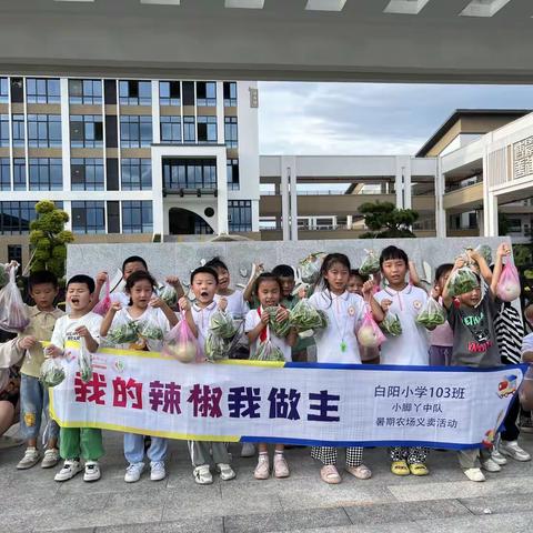 我的辣椒我做主——白阳小学103班暑期农场义卖