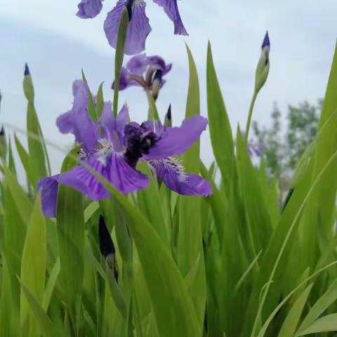 师生同写，翰墨飘香