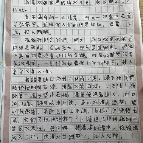 四下第五单元优秀习作