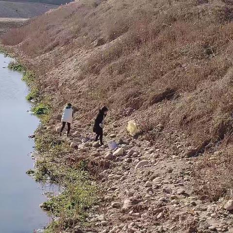 “与环境对话，润最美童心”——杨官林镇第一中心幼儿园记录环创生活（副本）